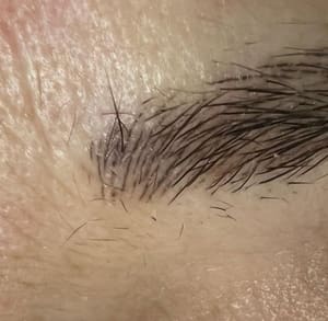Eyebrow Tattoo result by Revolution Esthetics & Permanent Makeup in Rockwall, TX