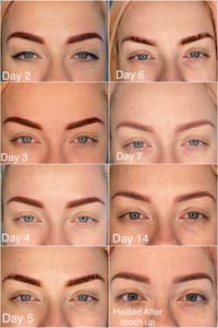 Eyebrow Tattoo result by Rohner Beauty in Villa Hills, KY