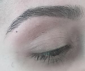 Eyebrow Tattoo result by Rosa Perfect Eyebrow in Altamonte Springs, FL