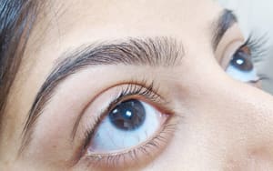 Eyebrow Tattoo result by Sarita's Threading in Brookfield, WI