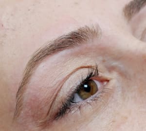 Eyebrow Tattoo result by Sarita's Threading in Brookfield, WI