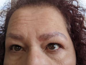 Eyebrow Tattoo result by Savage Brows By Tiffany in Paramus, NJ