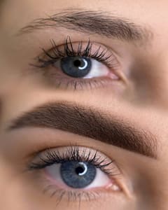 Eyebrow Tattoo result by SB Studio in Carol Stream, IL