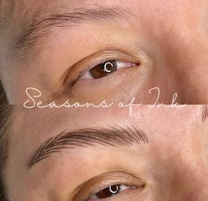 Eyebrow Tattoo result by Seasons of Ink in Walnut Creek, CA