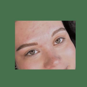 Eyebrow Tattoo result by Shade and Stencil: Tiny fine line tattoos + Nano Brows in Largo, Florida in Largo, FL