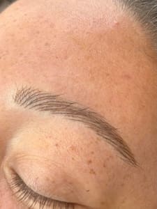 Eyebrow Tattoo result by Shade and Stencil: Tiny fine line tattoos + Nano Brows in Largo, Florida in Largo, FL