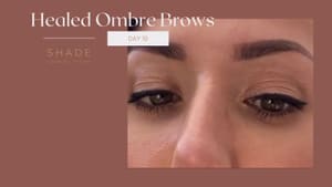 Eyebrow Tattoo result by Shade Cosmetic Tattoo in San Mateo, CA