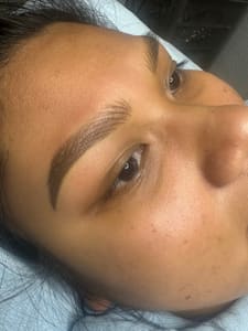 Eyebrow Tattoo result by Shaded Permanent Cosmetics LLC in Troy, IL