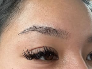 Eyebrow Tattoo result by Si Jolie Studio in Mountlake Terrace, WA