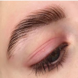 Eyebrow Tattoo result by Skiba beauty studio in Mission Viejo, CA
