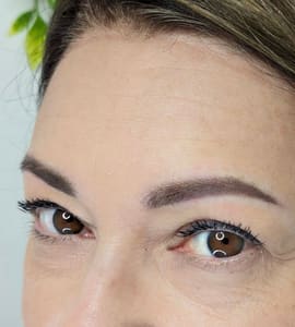 Eyebrow Tattoo result by Skin and Brow Lab in Louisville, KY