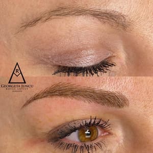 Eyebrow Tattoo result by Skin Apeel in Cary, NC