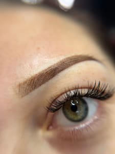 Eyebrow Tattoo result by SmudgeProof Brow Studio in Zephyrhills, FL