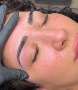 Eyebrow Tattoo result by Snowology in Raleigh, NC