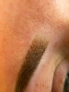 Eyebrow Tattoo result by So Aesthetic in New Britain, PA