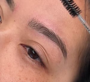 Eyebrow Tattoo result by Soft Strokes Studio Nano Brows in Addison, TX