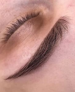 Eyebrow Tattoo result by State of Beauty in Katy, TX