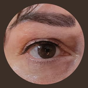 Eyebrow Tattoo result by Subtle Perfection in Amesbury, MA