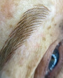 Eyebrow Tattoo result by Symmetry PMU by Heather in Visalia, CA