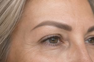 Eyebrow Tattoo result by Synergy Ink PMU at The Annex in Santa Rosa, CA