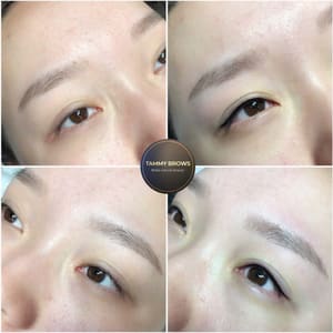 Eyebrow Tattoo result by Tammy brows in Santa Clara, CA