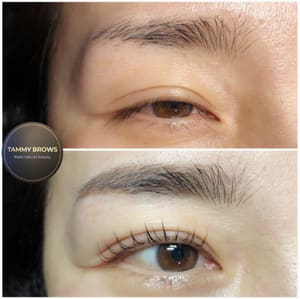 Eyebrow Tattoo result by Tammy brows in Santa Clara, CA