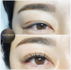Eyebrow Tattoo result by Tammy brows in Santa Clara, CA