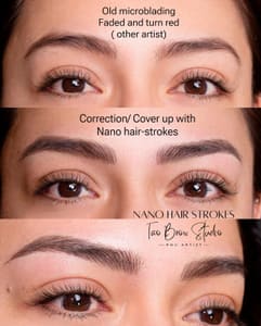 Eyebrow Tattoo result by Tao Brow Studio in Schaumburg, IL