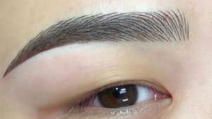 Eyebrow Tattoo result by Tao Ink LLC in Lauderhill, FL