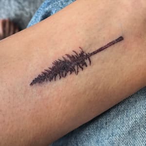 Eyebrow Tattoo result by Tatú in Carmel, IN