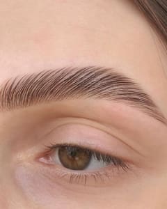 Eyebrow Tattoo result by TB lashes.brows.beauty in Naples, FL