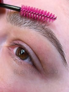 Eyebrow Tattoo result by The Blush Brow Studio in Walnut Creek, CA