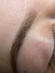 Eyebrow Tattoo result by The Brow and Face Studio in Melbourne, FL