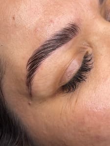Eyebrow Tattoo result by The Brow and Face Studio in Melbourne, FL