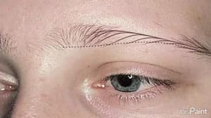 Eyebrow Tattoo result by The Brow Clinic - Eyebrow Expert natural NANO BROWS Mircroblading Ombre Brows Lash Skincare Facial Houston Texas in Houston, TX