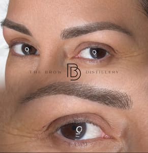 Eyebrow Tattoo result by The Brow Distillery in Lutz, FL