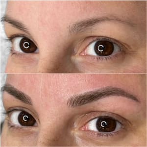 Eyebrow Tattoo result by The Brow Distillery in Lutz, FL