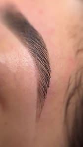 Eyebrow Tattoo result by The Brow Keeper in Powell, OH