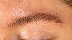 Eyebrow Tattoo result by THE FIX in Reno, NV