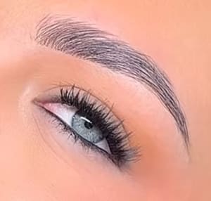 Eyebrow Tattoo result by The Golden Brow in Boulder, CO