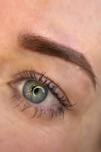 Eyebrow Tattoo result by The Permanent Makeup Place in Bismarck, ND