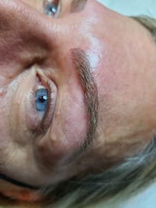 Eyebrow Tattoo result by The Skin Sanctuary in New Hyde Park, NY