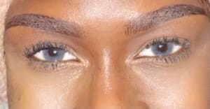 Eyebrow Tattoo result by Timeless Beauty Permanent Makeup & Skin Care in Gladstone, MO