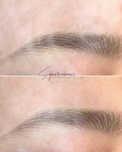 Eyebrow Tattoo result by Tran's SignatureBrows and Permanent Make up in San Jose, CA