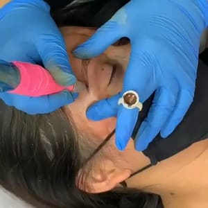 Eyebrow Tattoo result by Tusa Permanent Makeup in Westlake Village, CA