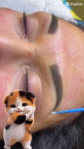Eyebrow Tattoo result by V Lash & Brow Studio in Carmel, IN