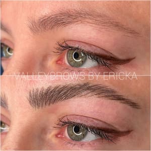 Eyebrow Tattoo result by Valley Brows in Sonoma, CA