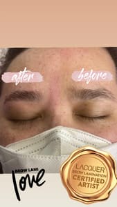 Eyebrow Tattoo result by Vanessa Ann Microblading & Beauty @ SarahKat Design in Papillion, NE