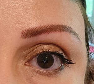 Eyebrow Tattoo result by Velvet Tattoo in Charlotte, NC