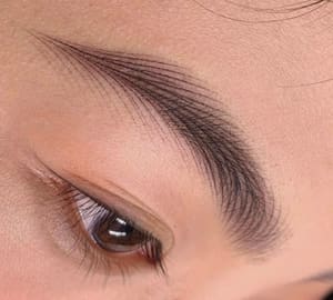 Eyebrow Tattoo result by Vicju Beauty in Falls Church, VA